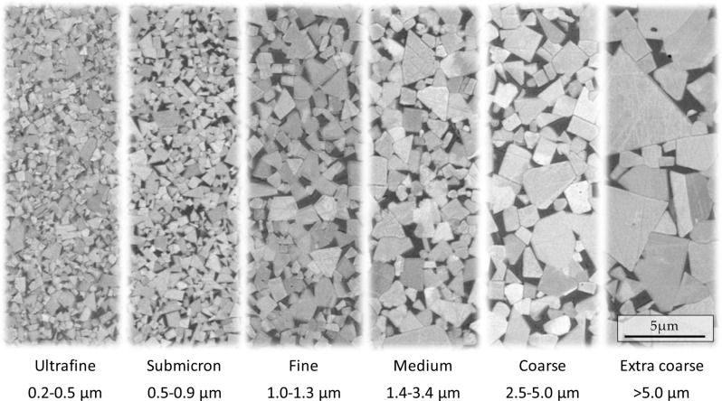 microscopic image of carbide material showcasing different grain size 